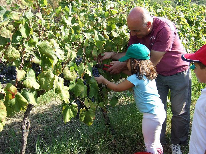 Agriturismo Parra Santa Lucia del Mela ภายนอก รูปภาพ