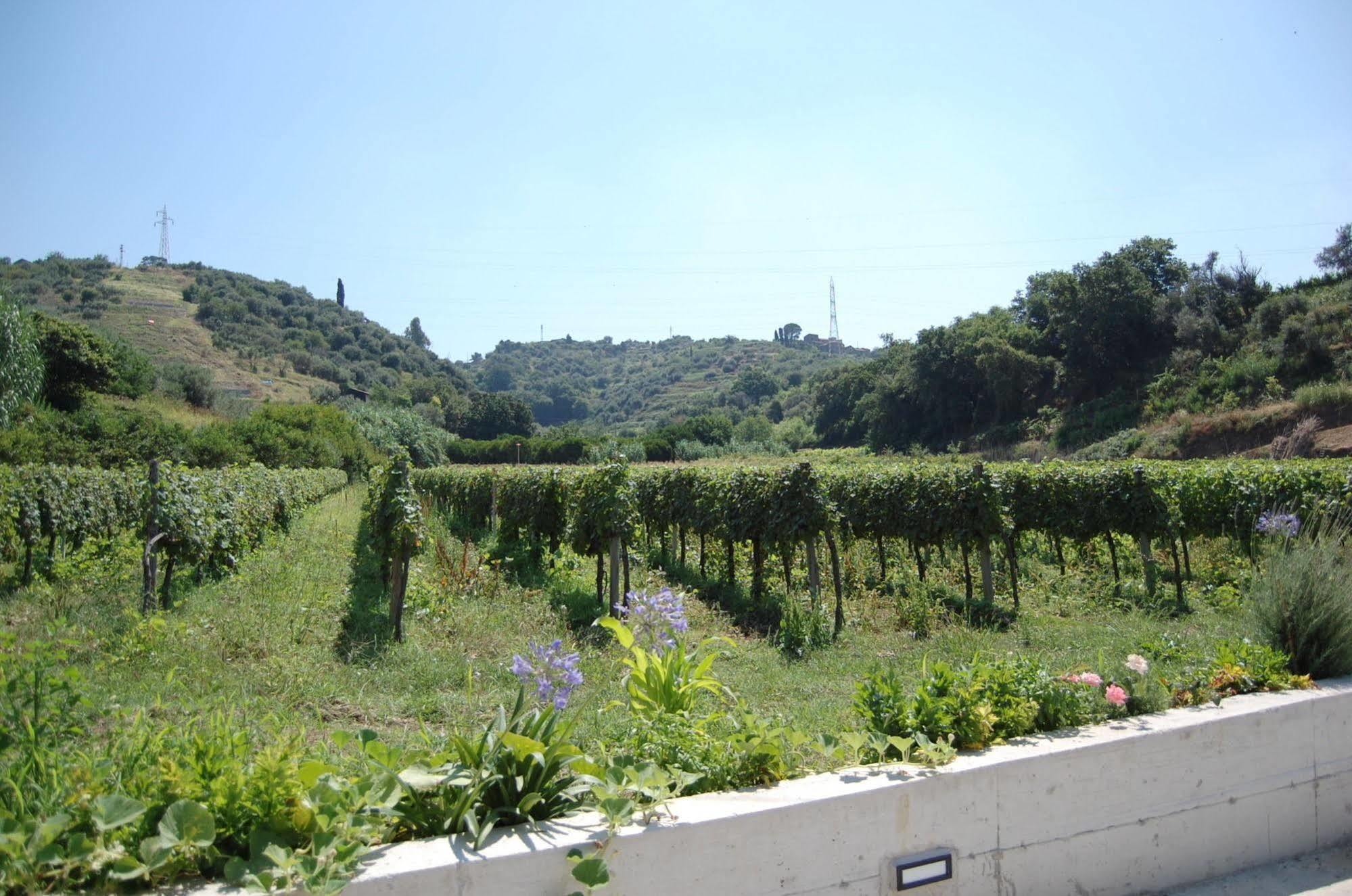 Agriturismo Parra Santa Lucia del Mela ภายนอก รูปภาพ